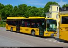 Dacke buss